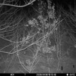 Jan 6 2026 19:13:48, #01