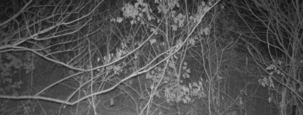 Jan 6 2026 22:13:47, #01