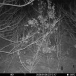 Jan 6 2026 22:13:47, #01