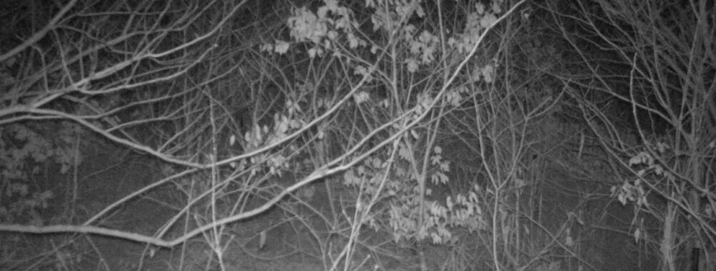 Jan 7 2026  1:13:47, #01