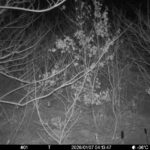 Jan 7 2026  4:13:47, #01