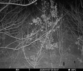 Jan 7 2026  4:13:47, #01