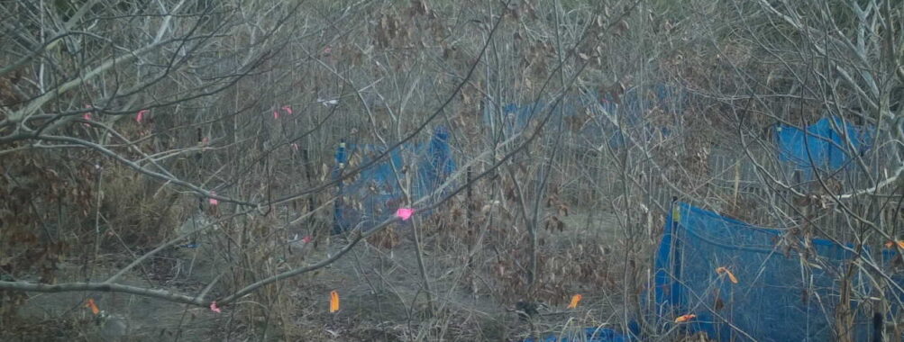 Jan 7 2026  7:13:48, #01