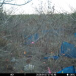 Jan 7 2026  7:13:48, #01