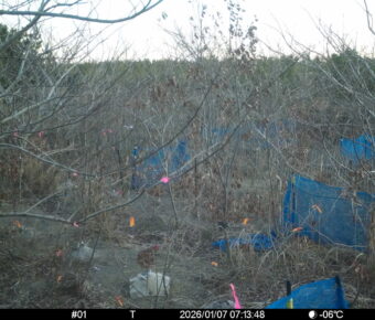 Jan 7 2026  7:13:48, #01