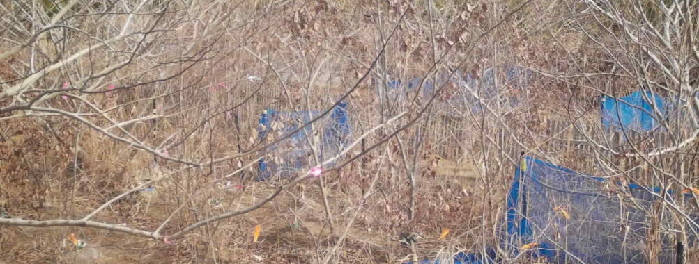 Jan 7 2026 10:13:48, #01