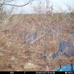 Jan 7 2026 10:13:48, #01