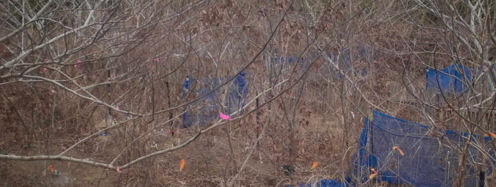 Jan 7 2026 13:13:47, #01