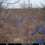 Jan 7 2026 13:13:47, #01