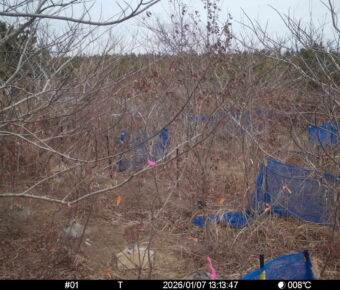 Jan 7 2026 13:13:47, #01