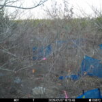 Jan 7 2026 16:13:48, #01