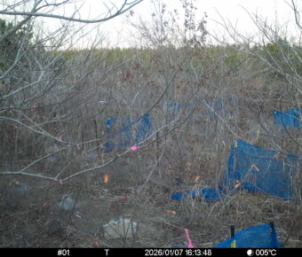 Jan 7 2026 16:13:48, #01