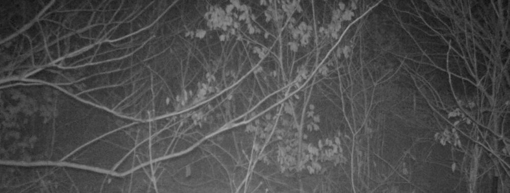 Jan 7 2026 19:13:47, #01