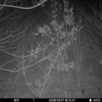 Jan 7 2026 19:13:47, #01