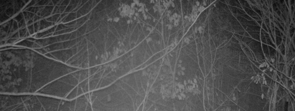 Jan 7 2026 22:13:47, #01