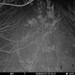 Jan 7 2026 22:13:47, #01