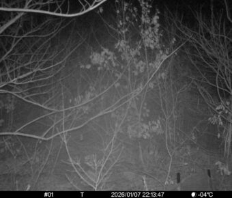 Jan 7 2026 22:13:47, #01