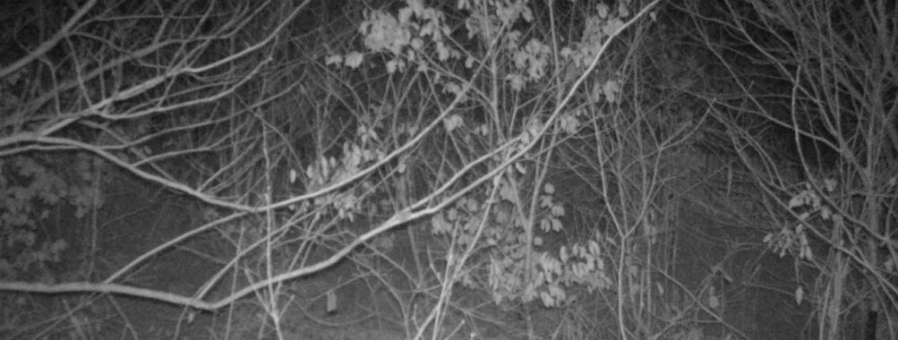 Jan 8 2026  1:13:47, #01