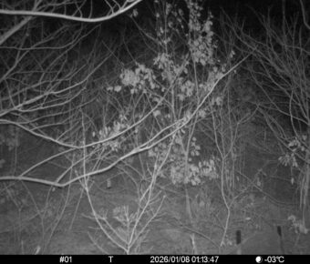 Jan 8 2026  1:13:47, #01