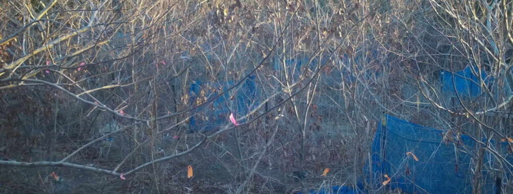 Jan 8 2026  7:13:48, #01