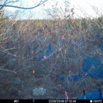 Jan 8 2026  7:13:48, #01