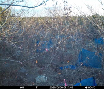 Jan 8 2026  7:13:48, #01