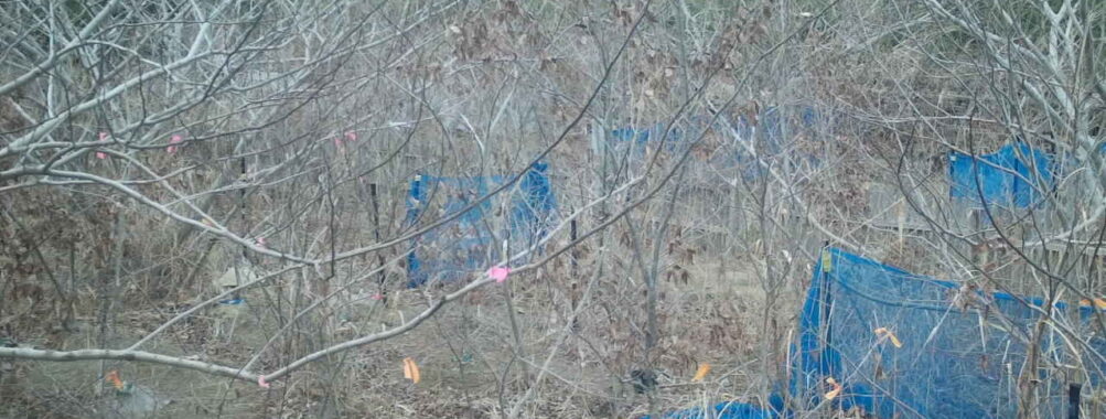 Jan 8 2026 10:13:48, #01