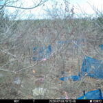 Jan 8 2026 10:13:48, #01