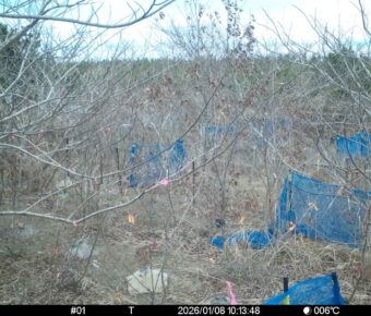 Jan 8 2026 10:13:48, #01