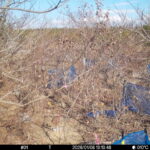 Jan 8 2026 13:13:48, #01