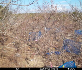 Jan 8 2026 13:13:48, #01