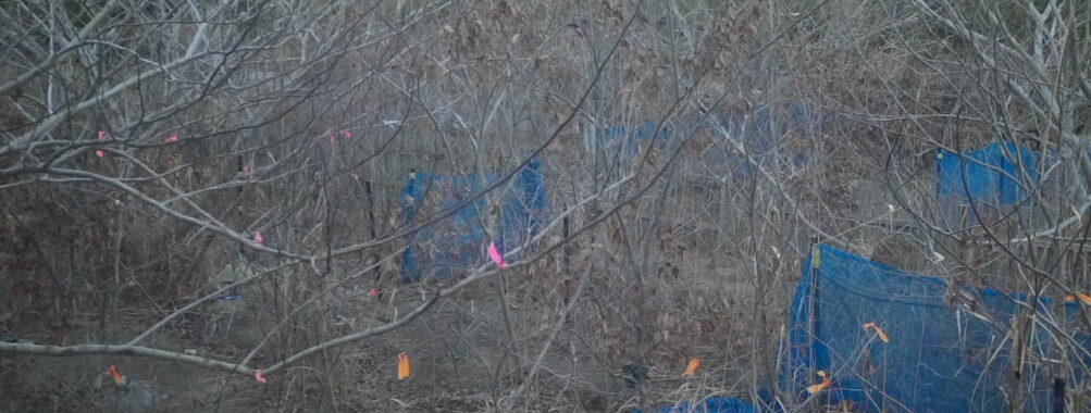 Jan 8 2026 16:13:48, #01