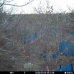 Jan 8 2026 16:13:48, #01