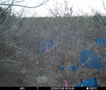 Jan 8 2026 16:13:48, #01