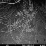 Jan 8 2026 19:13:47, #01