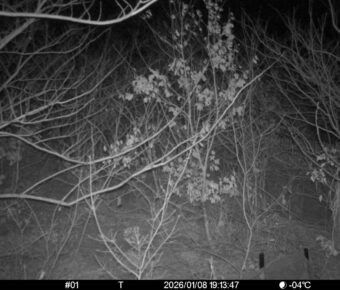 Jan 8 2026 19:13:47, #01