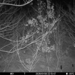 Jan 8 2026 22:13:47, #01