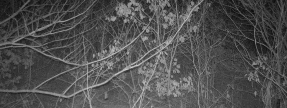 Jan 9 2026  1:13:46, #01