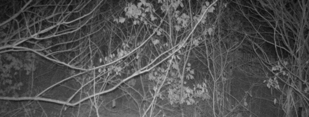 Jan 9 2026  4:13:47, #01