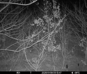 Jan 9 2026  4:13:47, #01