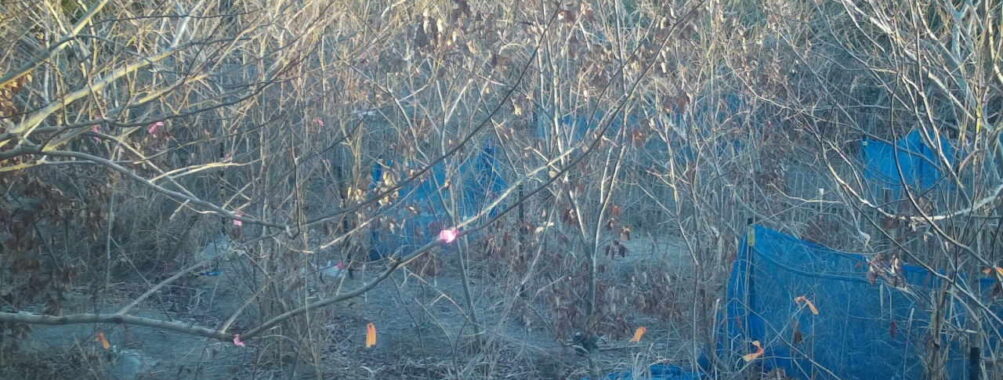 Jan 9 2026  7:13:48, #01