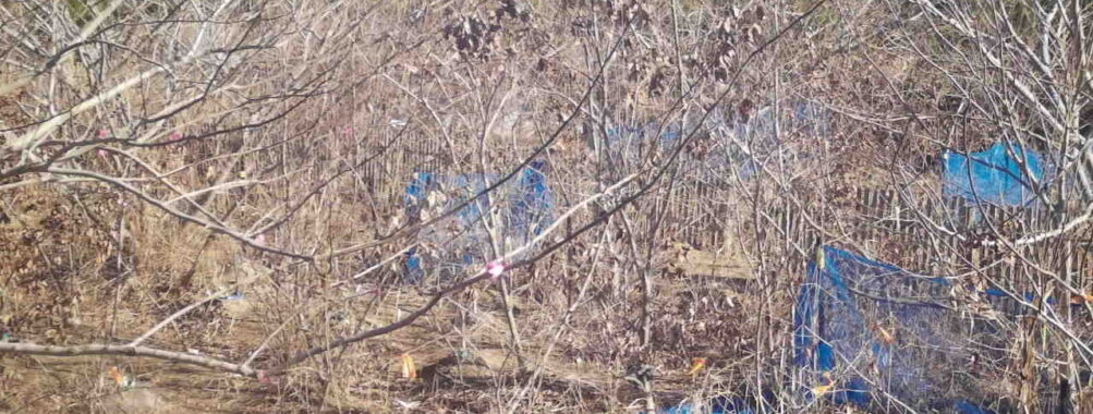 Jan 9 2026 10:13:48, #01