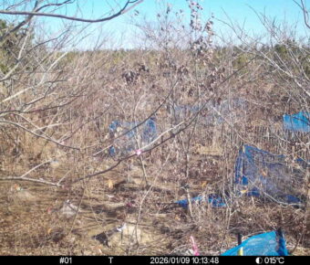 Jan 9 2026 10:13:48, #01