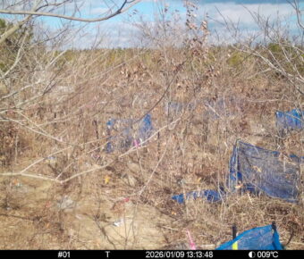 Jan 9 2026 13:13:48, #01