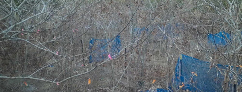 Jan 9 2026 16:13:47, #01