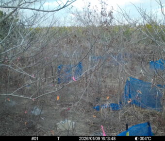 Jan 9 2026 16:13:47, #01