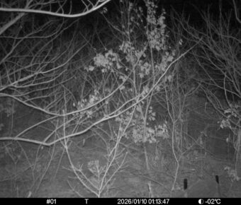 Jan 10 2026  1:13:47, #01