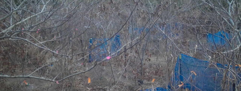 Jan 10 2026  7:13:48, #01