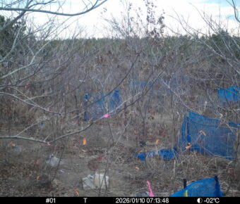 Jan 10 2026  7:13:48, #01