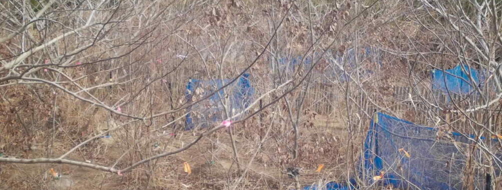 Jan 10 2026 10:13:47, #01